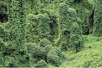 《暗黑破坏神4》第五赛季开发者直播明早2点开始